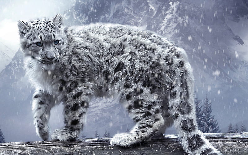 white snow leopard