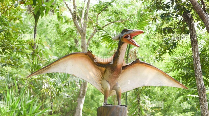 Hatzigo pterosaur