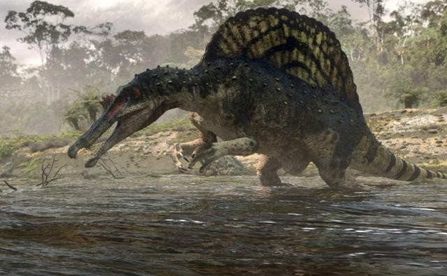 a spinosaurus dinosaur