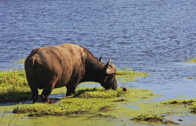 Isimangaliso Wetland Park