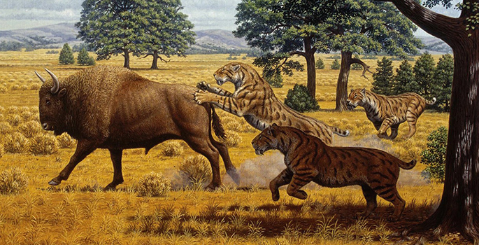 saber-toothed tiger