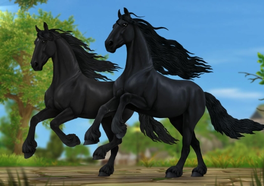 all star friesians
