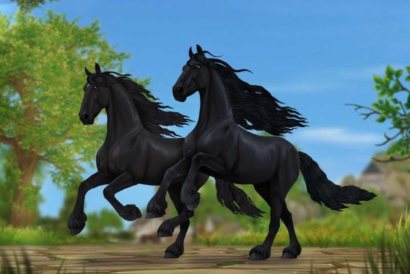 friesian stables