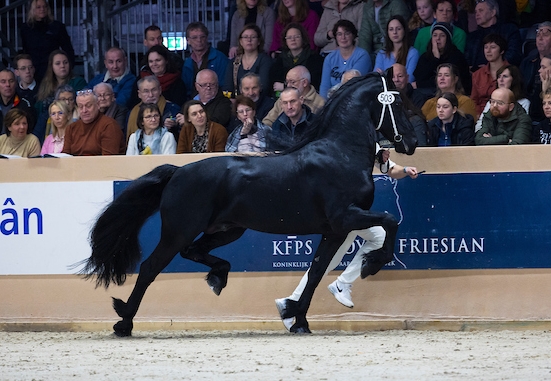 kfps stallion show 2023