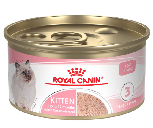 royal canin maine coon