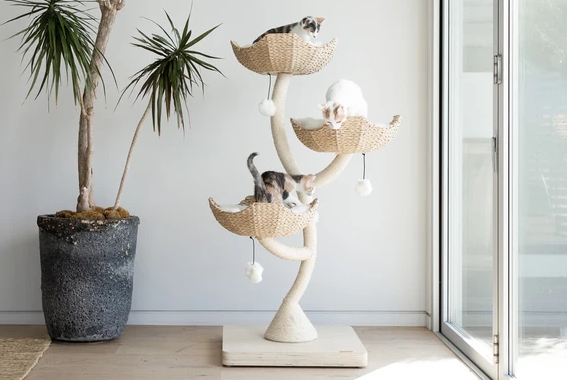 mau cat tree
