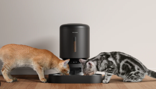 petlibro automatic cat feeder