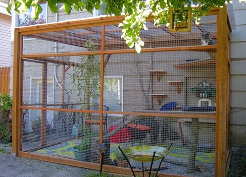 cat enclosures