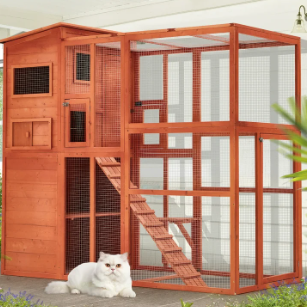 cat house