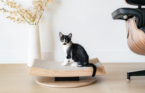 cat scratcher