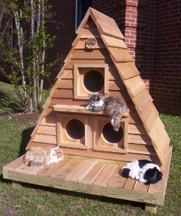 outdoor cat house