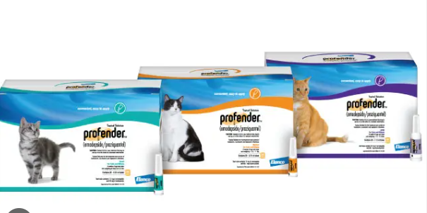 cat dewormer