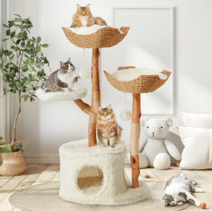 cat condo