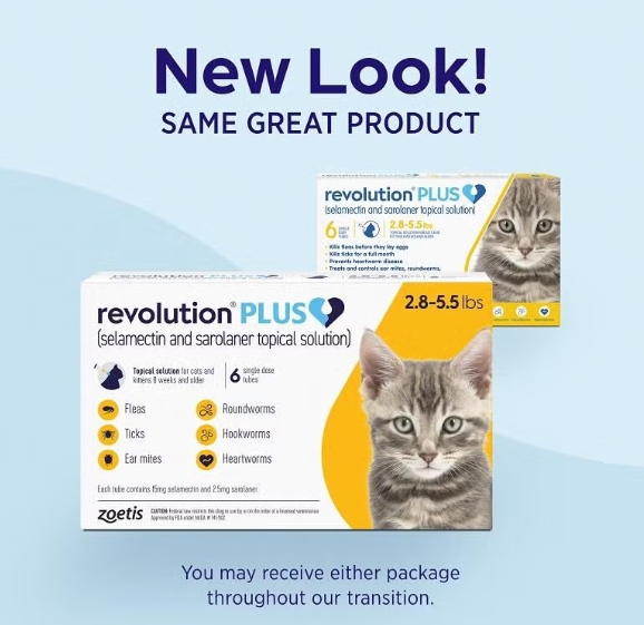 revolution plus for cats