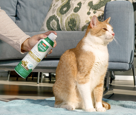 flea treatment for cats