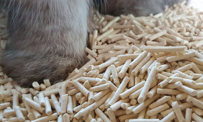 tofu cat litter