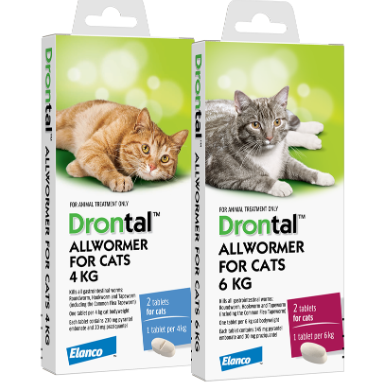 drontal for cats