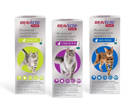 bravecto plus for cats