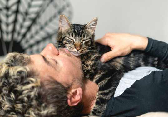 emotional support cat