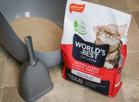 worldʼs best cat litter