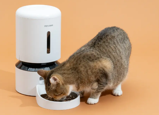 automatic cat feeder