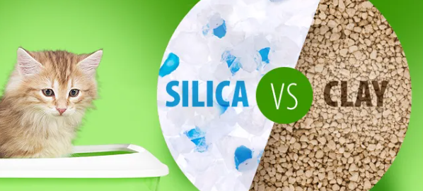 silica cat litter