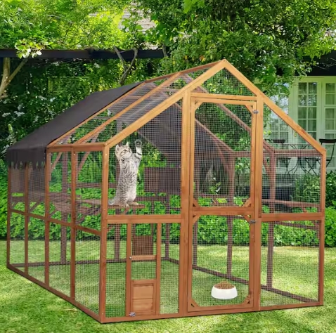 outdoor cat enclosure