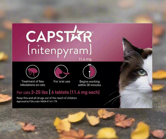 capstar for cats
