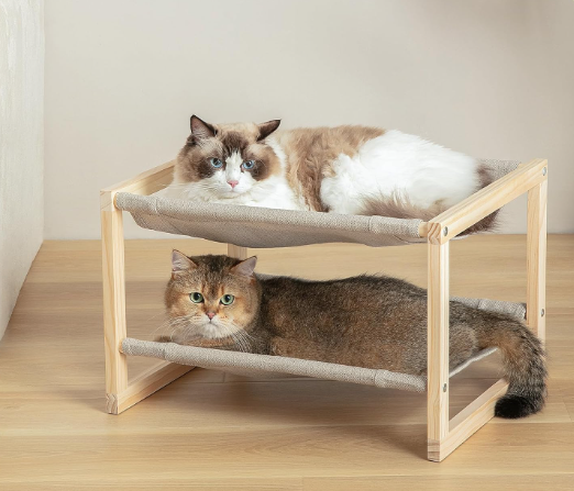 cat beds