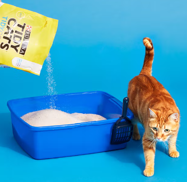 best cat litter for odor