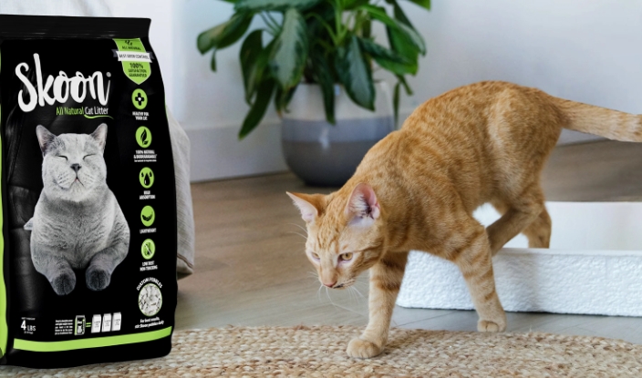 skoon cat litter