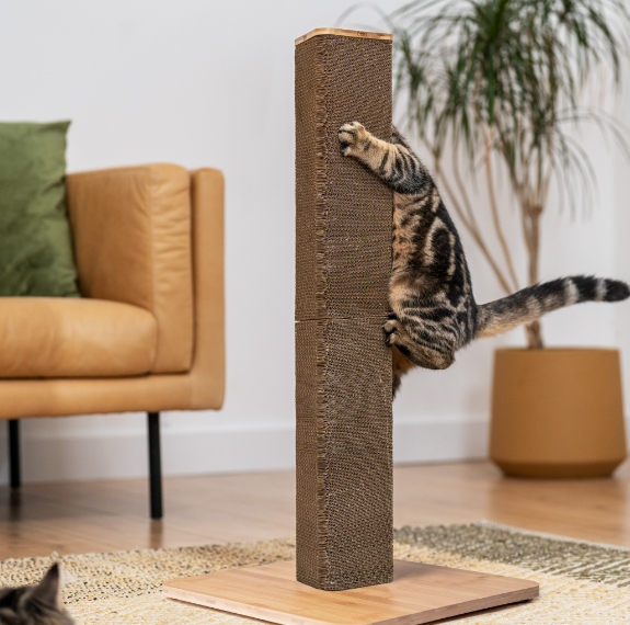cat scratching post