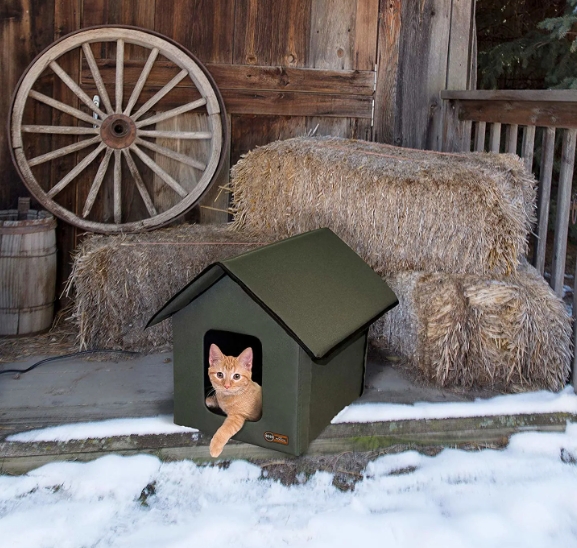 outdoor cat house for winter