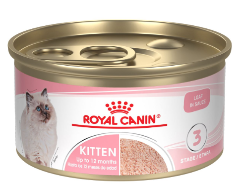 royal canin kitten