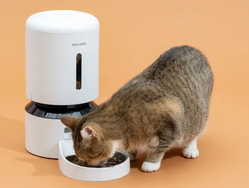 best automatic cat feeder