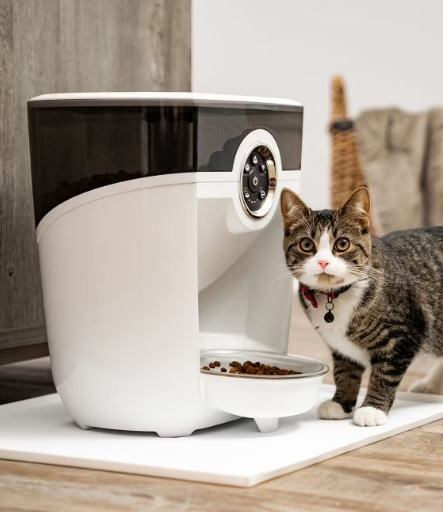cat feeder