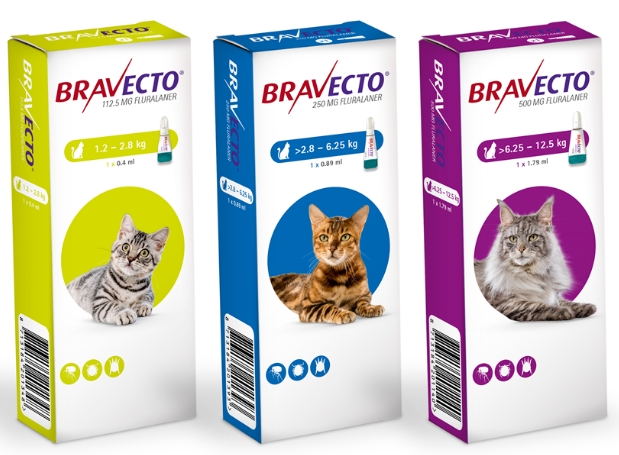 bravecto for cats