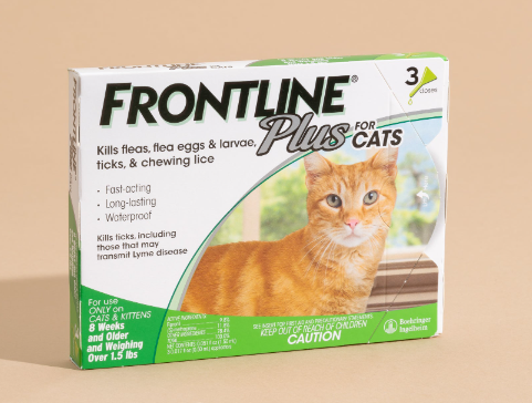 kitten flea treatment