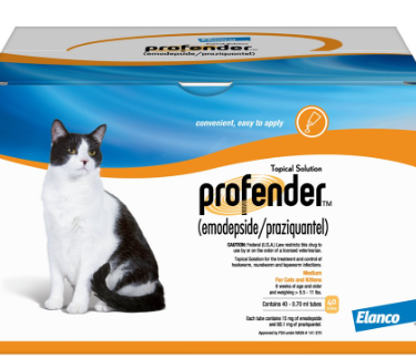 kitten dewormer