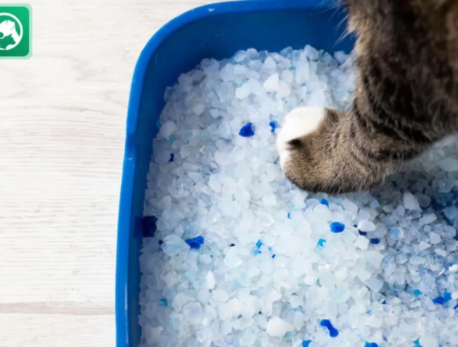 crystal cat litter