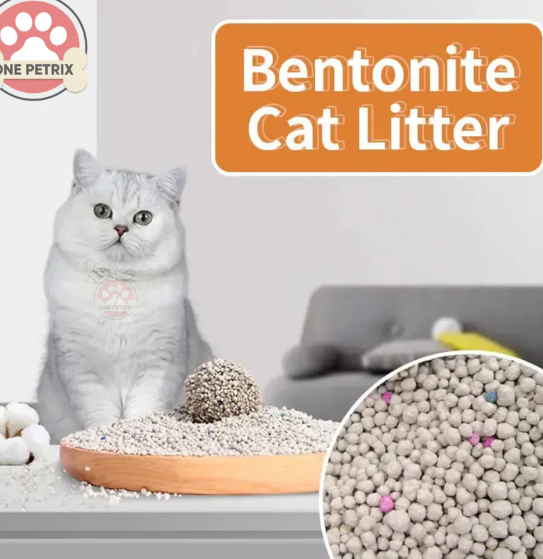 cat sand