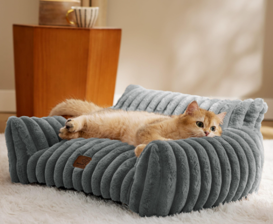 cat sofa