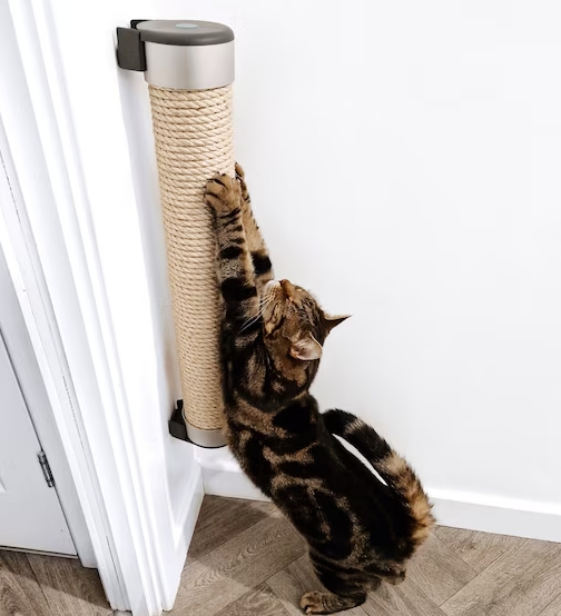 cat post