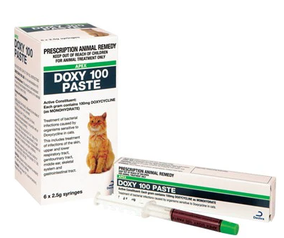 doxycycline for cats