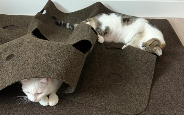 cat mat