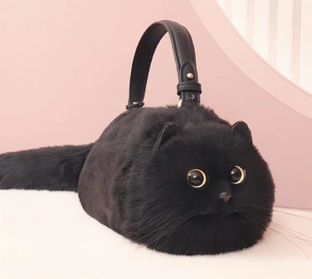 cat bag