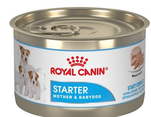 royal canin mother & babycat