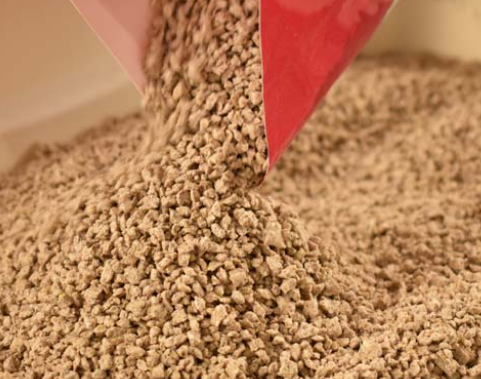 best clumping cat litter