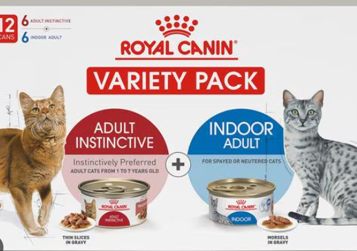 royal canin indoor