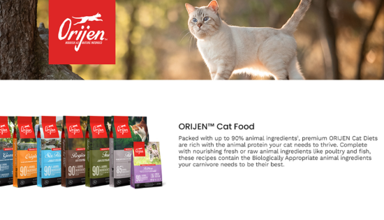 orijen cat & kitten